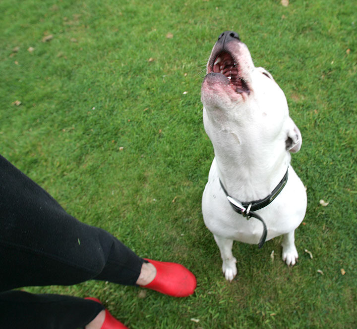 Maddy and Marjorie's Red Shoes