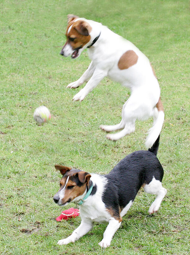Sally and Jake Playing Ball