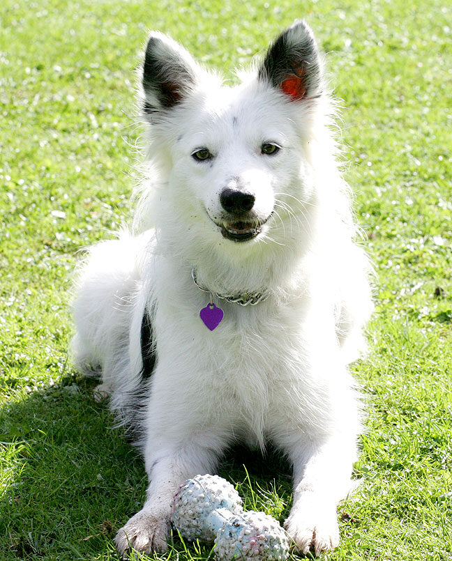 Bella