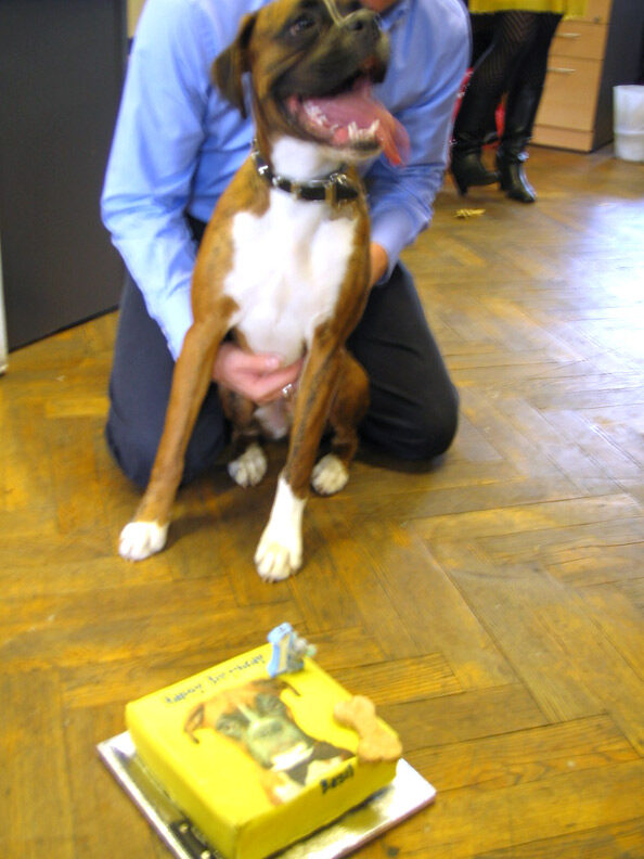 Basil With His Birthday Cake from Lucies Farm