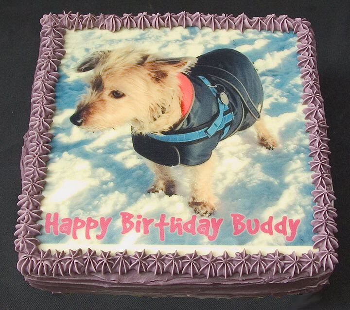 Buddy's Birthday Cake - June 3, 2004