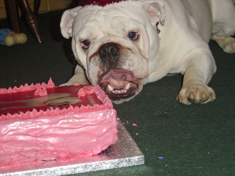 Yeah, I know, I've got my mouth full.  Well, it is my birthday