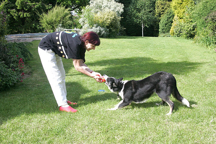 Marjorie and Harvey Playing Tug-o-War