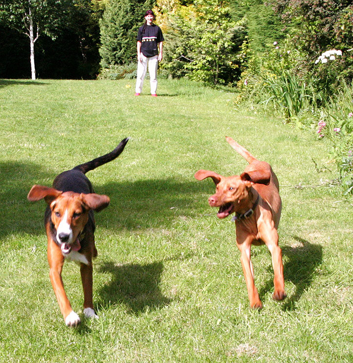 Jessie and Pippa Playing Catch