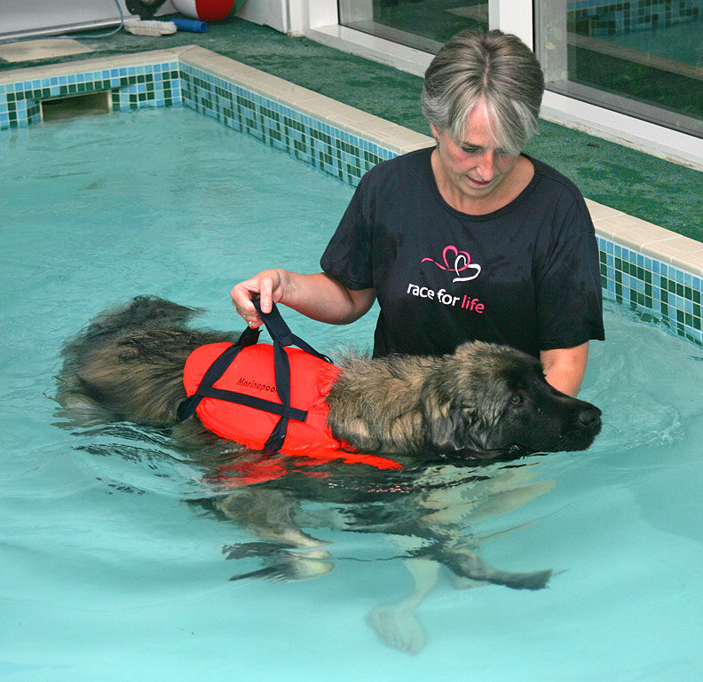 Oscar Having His Swim