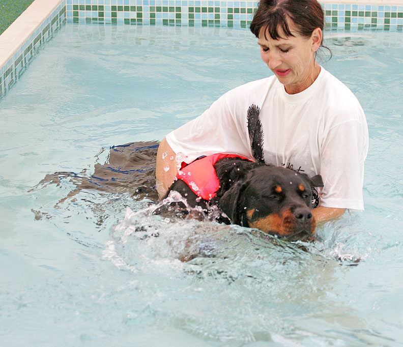 Ronan Having A Swim