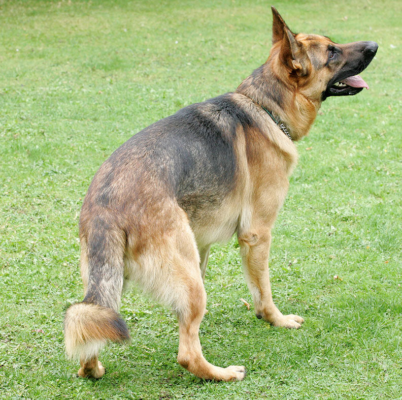 Enoch Waiting for Big To Throw The Ball