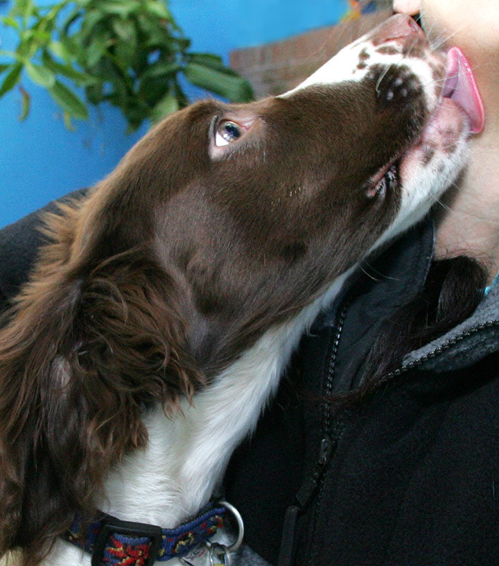 Doggie kisses!