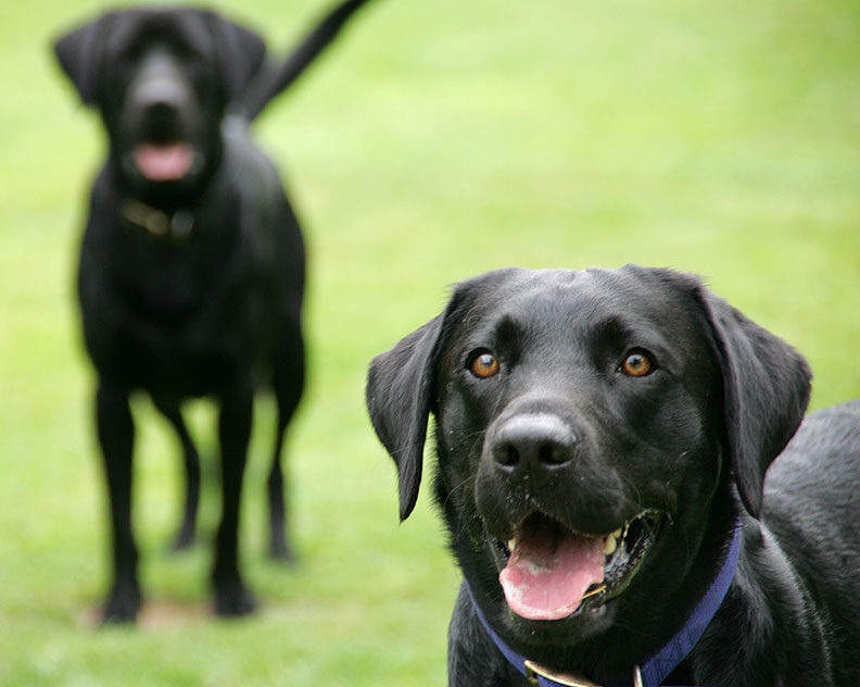 Throw the Ball -- We're Ready!