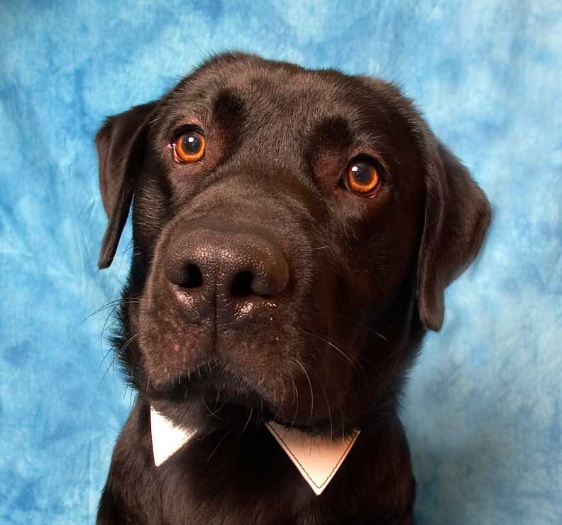 Rupert Looking A Bit Sad