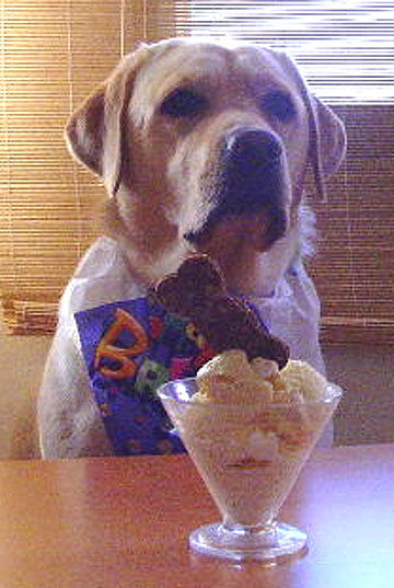 Martha and the Haddock Ice Cream