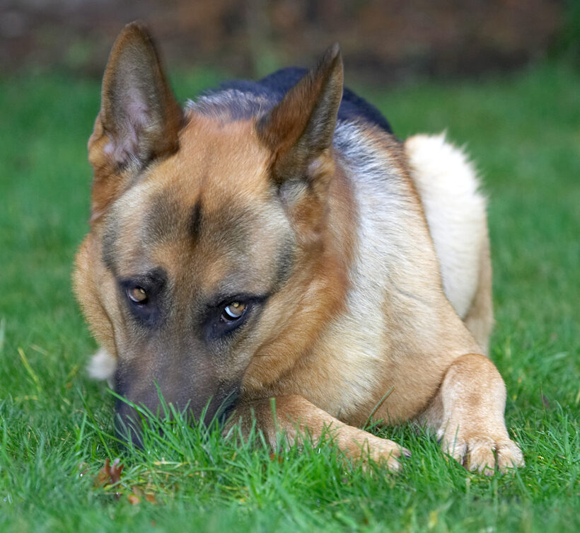 Sasha Being Shy