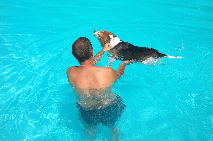 Zbig Taking Hattie for a Swim