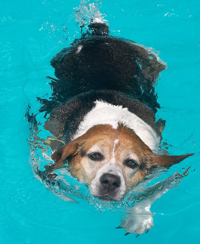 Hattie Swimming