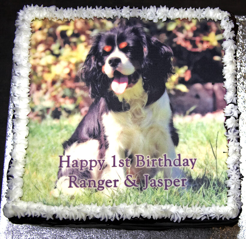 Ranger and Jasper