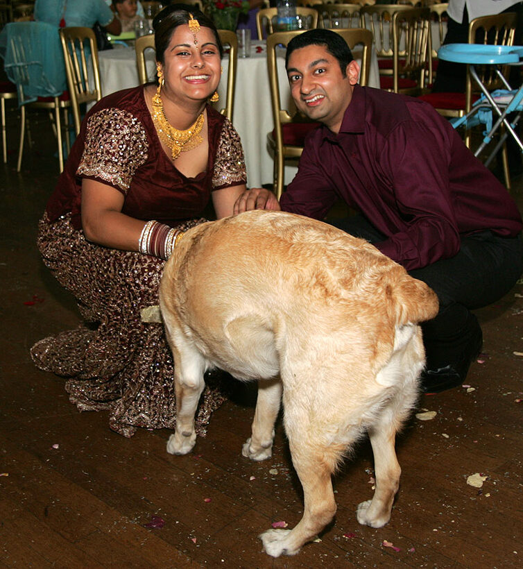 Zac at the Wedding Reception