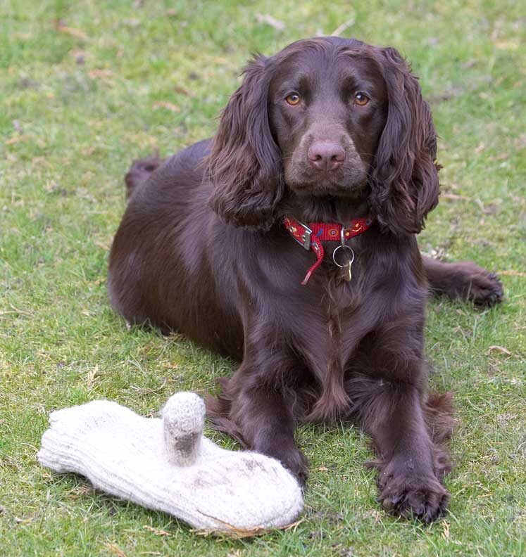 Poppy with Marjorie's Mitten
