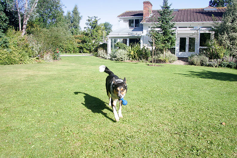 Bart Playing Catch