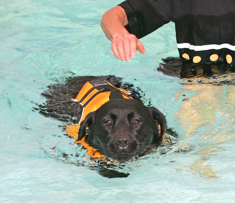 Billy Swimming