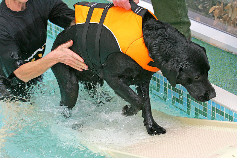 Billy Leaving the Pool