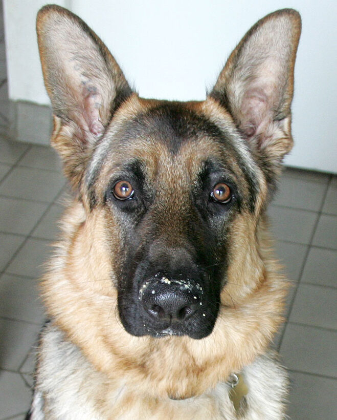 Paulo after Breakfast