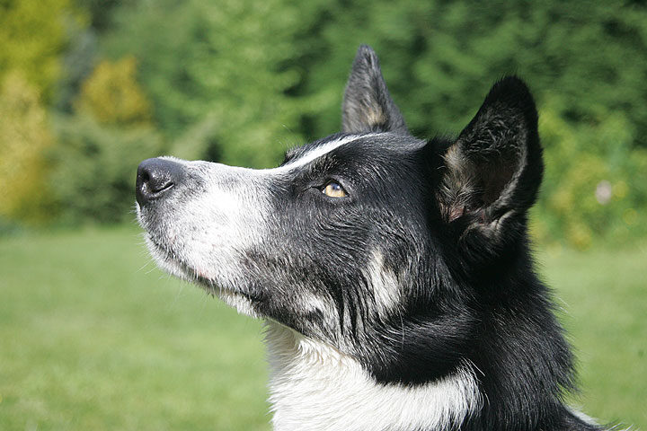 Harvey in Profile