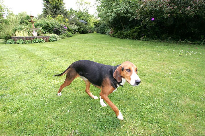 Jessie Playing Ball