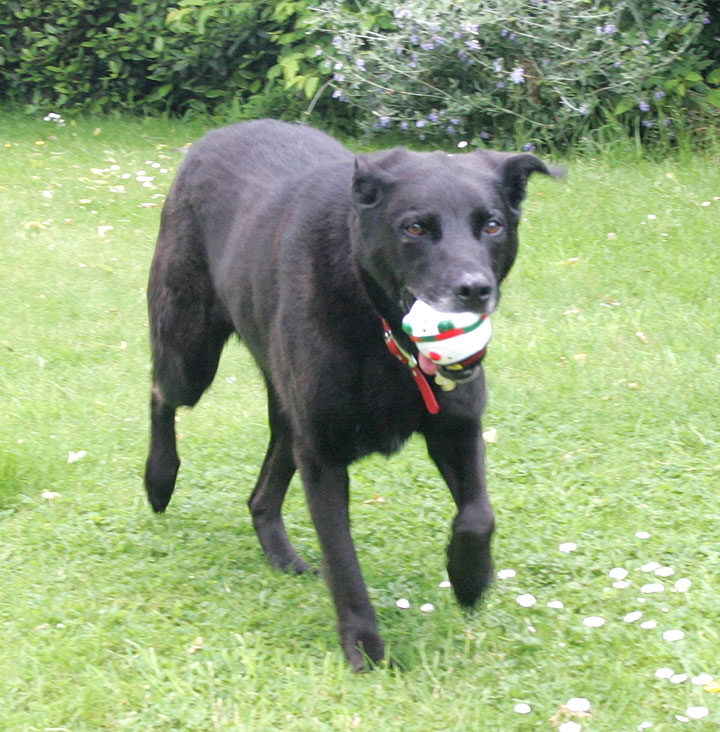 Jet Returning the Ball