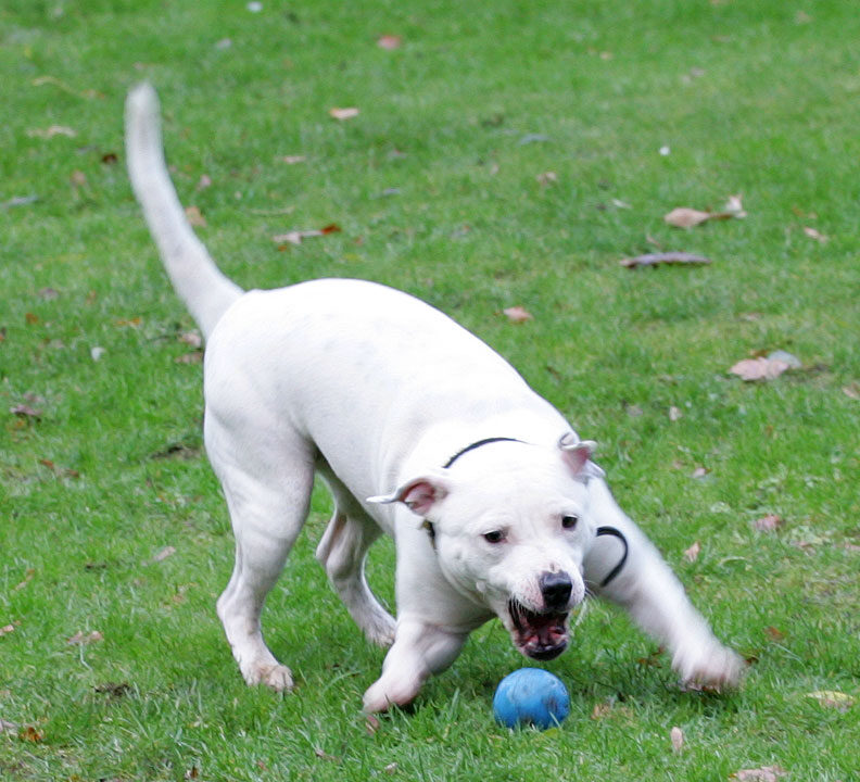 Maddy Playing Catch