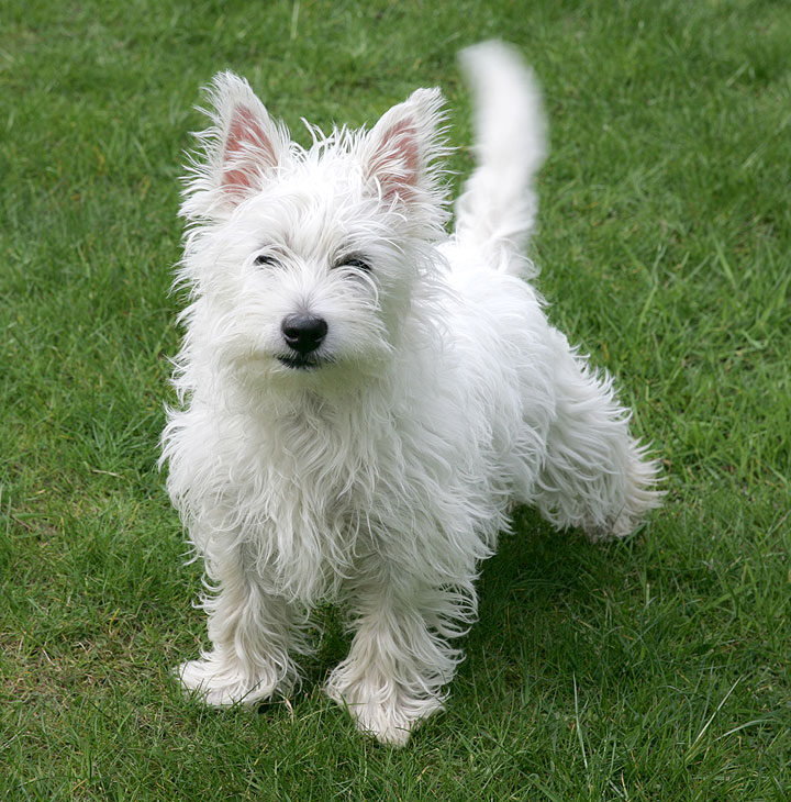 Maisy Posing