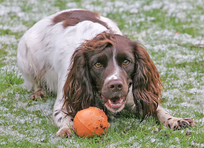 Meg Playing Catch