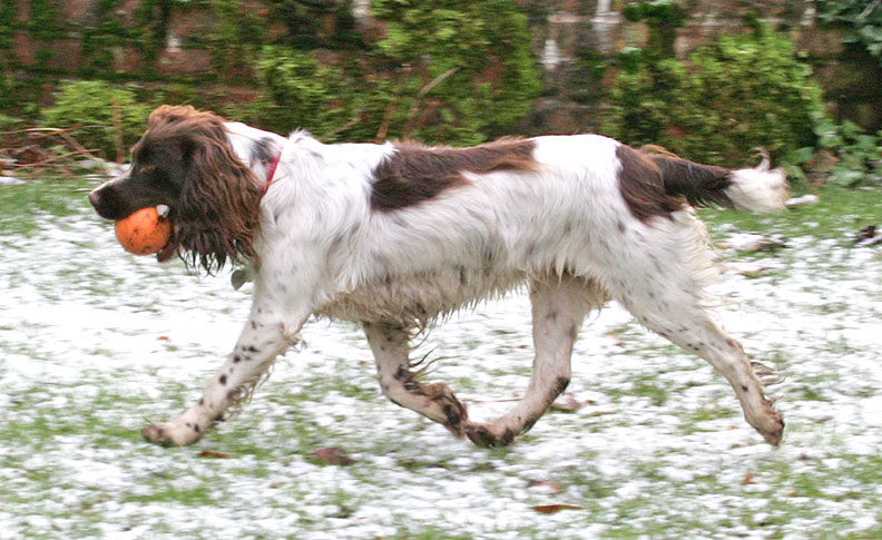 Meg Running in the "Snow"