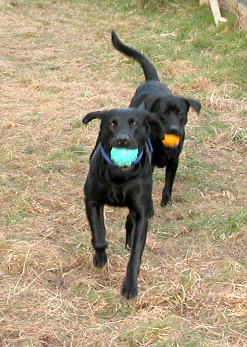 Returning the Balls