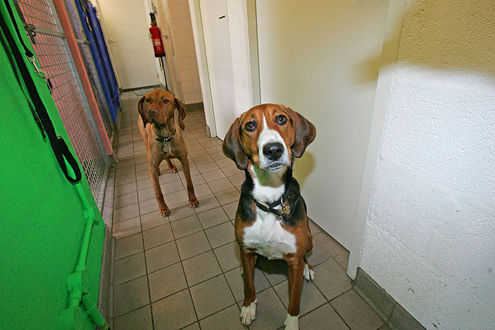 Pippa and Jessie