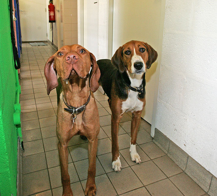 Pippa and Jessie