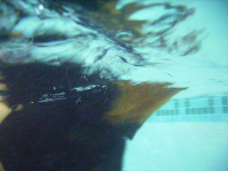 Ronan Swimming