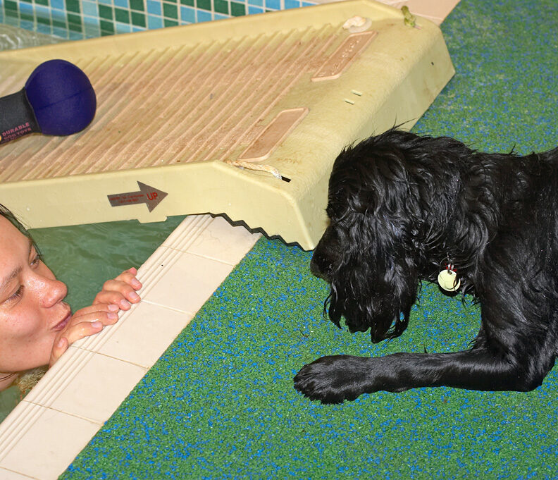 Frankie Looking at Elzbieta in the Pool
