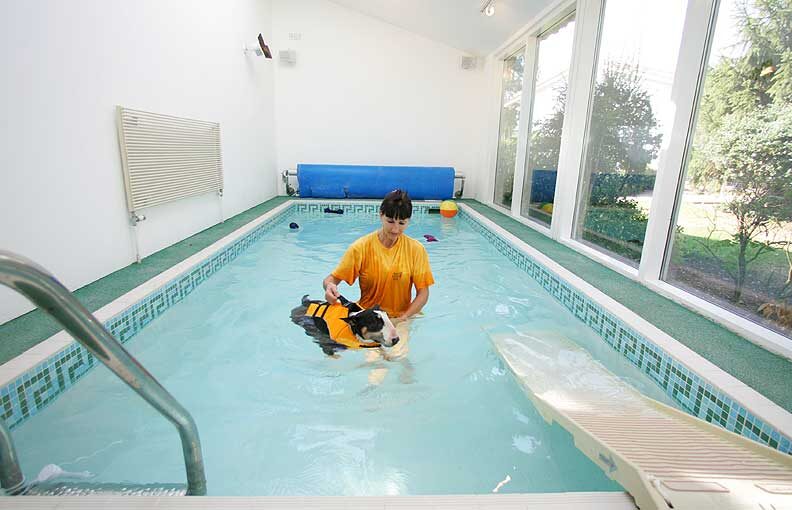 Tapa Having A Swim