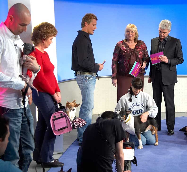 Marjorie Demonstrating Dog Massage on ITV's "This Morning"