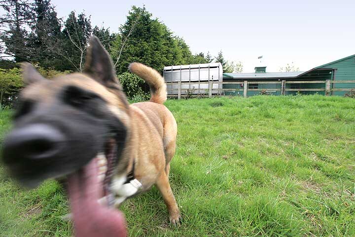 Tiny on the Run