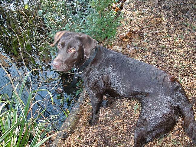 Tess - You Can See What She's Thinking