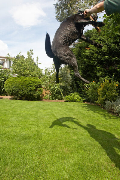 Another giant leap