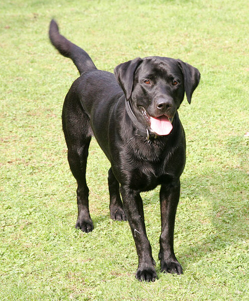 C'mon, throw that ball