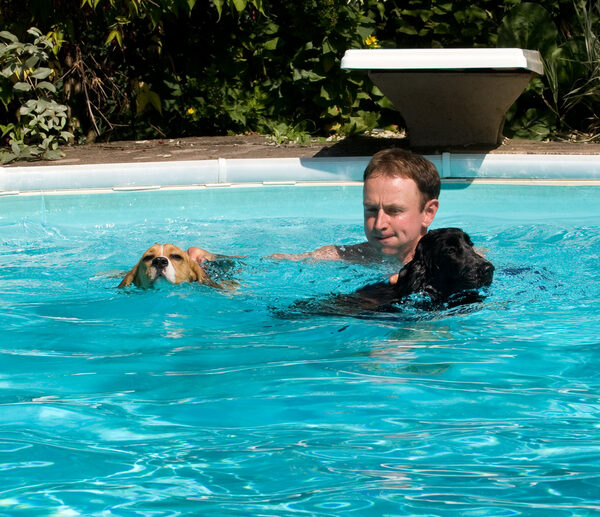 Kero and Digby Swimming with Ross