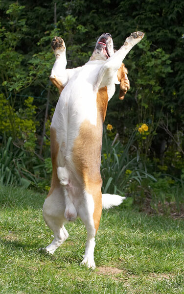 How d'ya like my line dancing