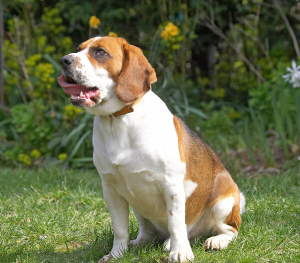 Jus' lickin' my chops