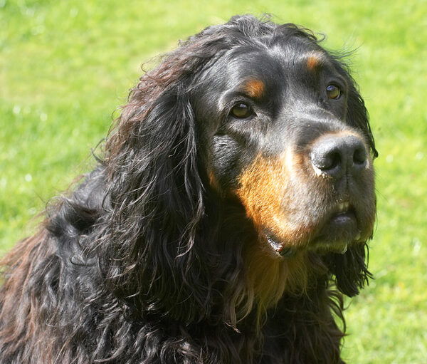 Cassie aka Molly Moe looking very regal