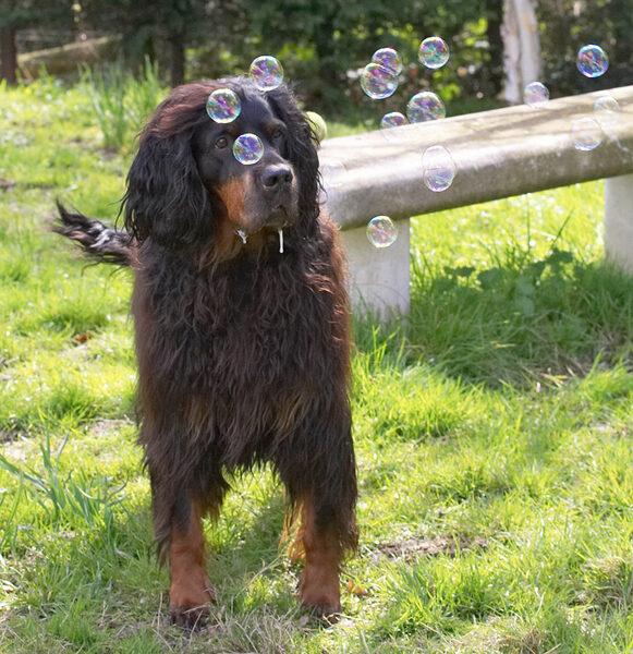 Molly Moe wondering which bubble to go for