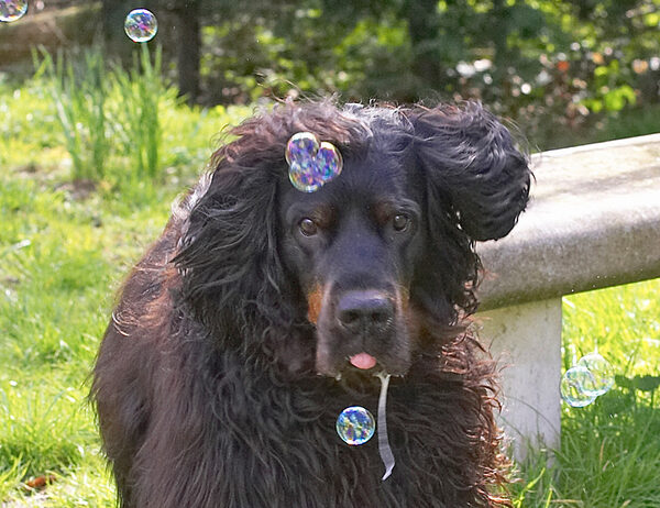 Molly Moe homing in on that bubble