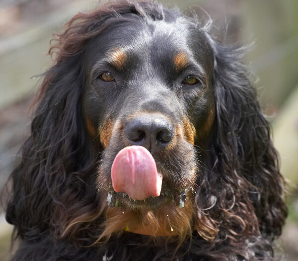 Molly Moe & tongue
